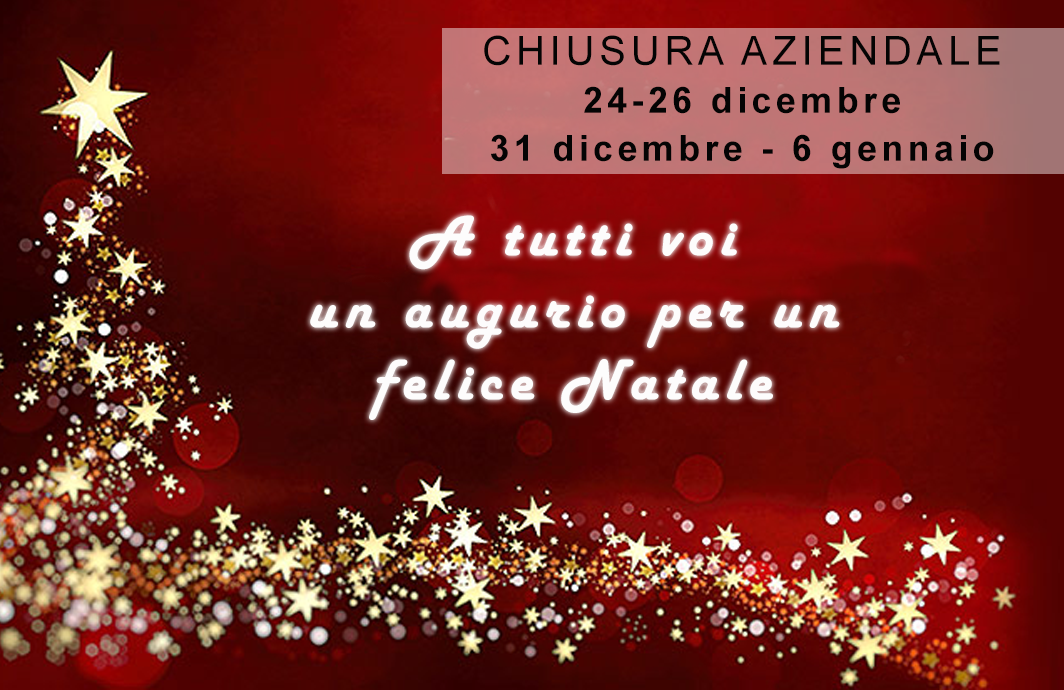 Chiusura aziendale Natale 2019